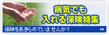 �µ��Ǥ�������ݸ���������