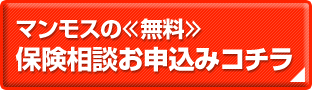 �ޥ�⥹��̵���ݸ����̤������ߤϥ�����