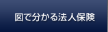 �ޤ�ʬ����ˡ���ݸ�