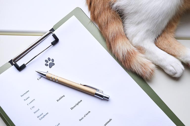 保険の加入・見直しをサポート